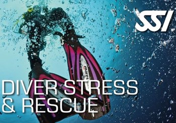 Diver Stress and Rescue